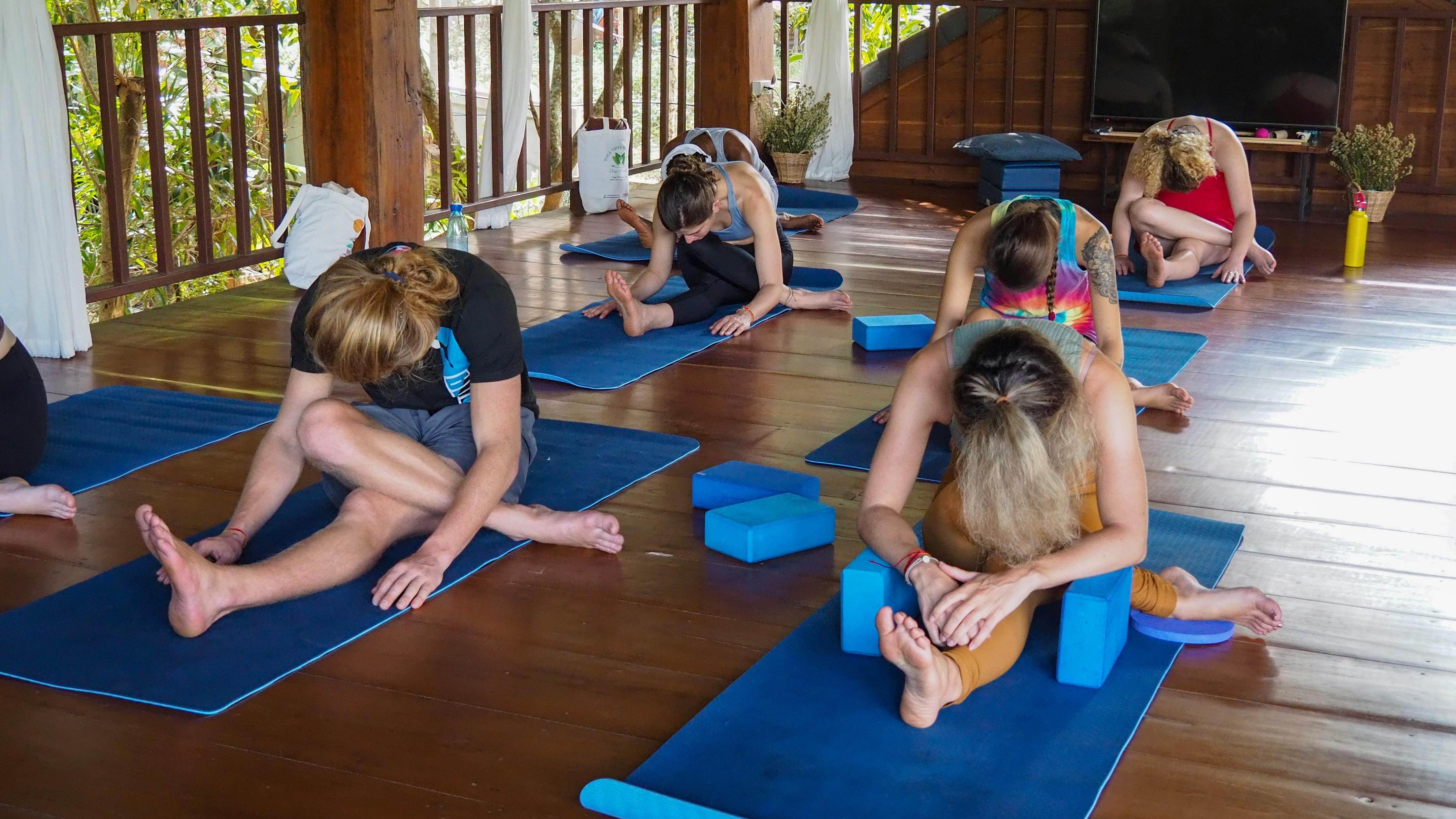 Blue Yoga Blocks