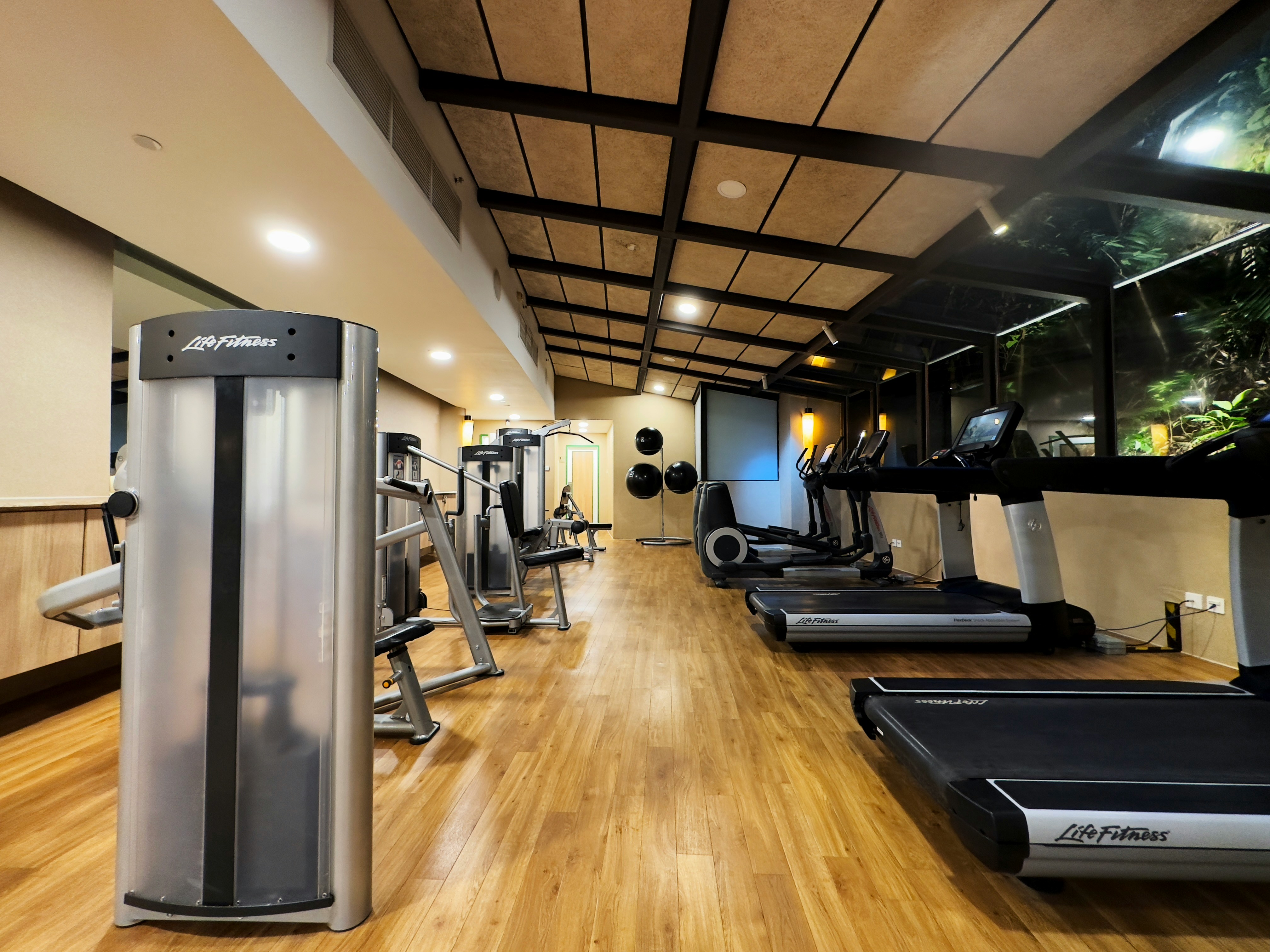 Foldable Treadmill