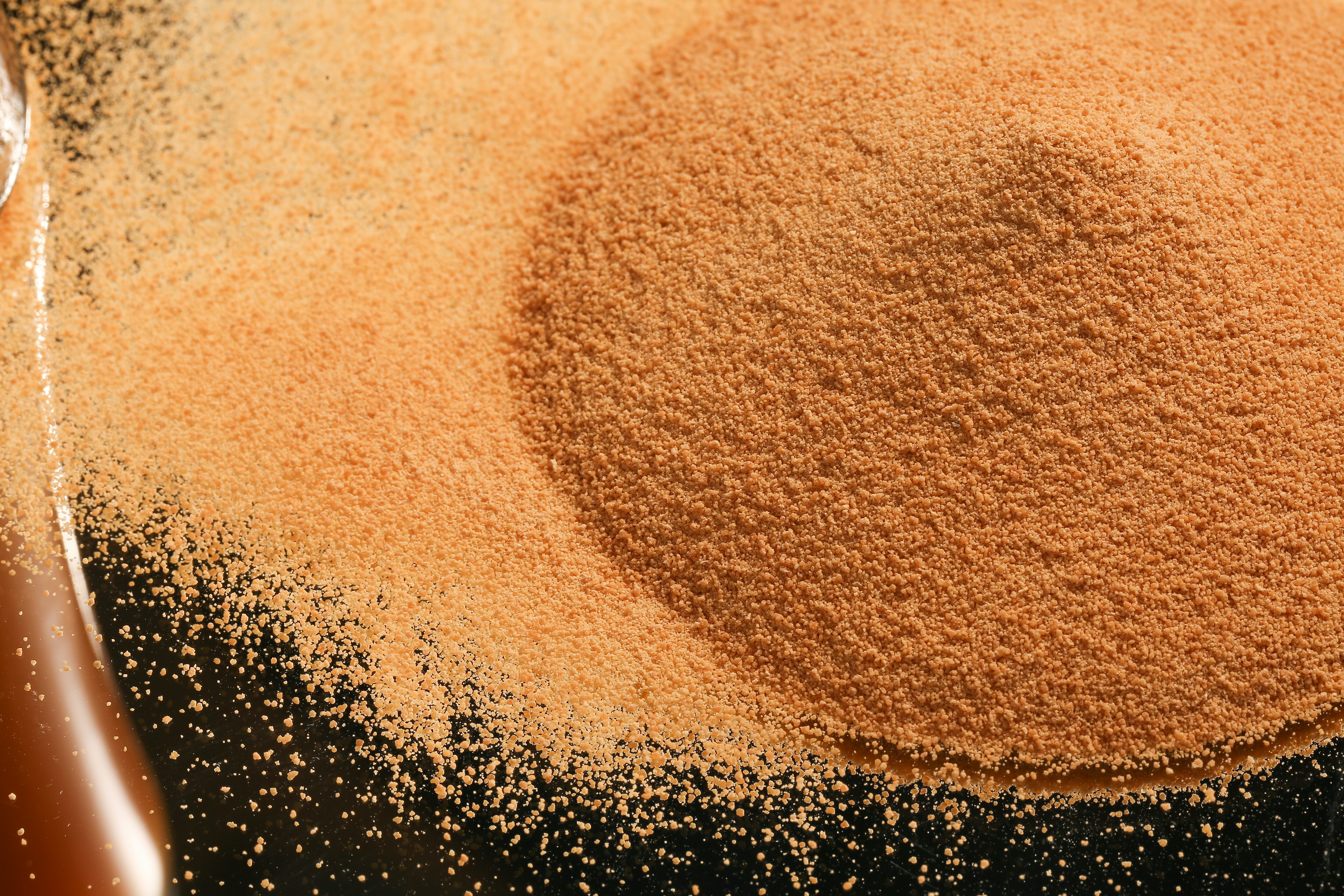 Whey Protein Powder